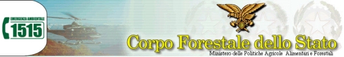 company_logo forestale.jpg, 39 kB