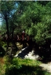 ponte sull'Ihlara