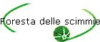 Foresta delle scimmie